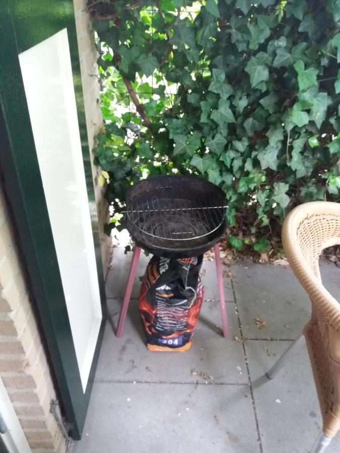 Vakantiehuis Arcadia Zonnemaire Kültér fotó